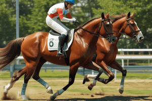 Equestrian Rules and Definitions Quiz