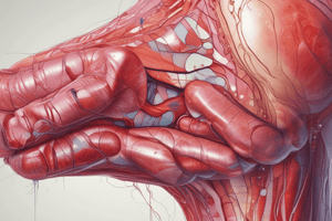 Wound Healing Process: Hemostasis Phase