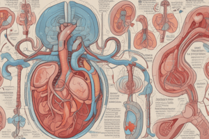 Kidney Structure and Function Year 1