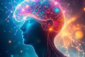 Social Neuroscience and Self-Awareness Quiz