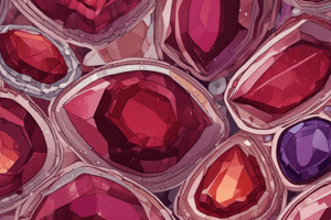 Garnet Types & Demantoid