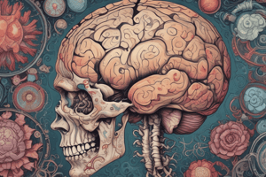 Gliomas Diagnostic Criteria and Prognosis