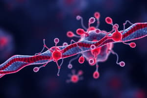 Eukaryotic Cell Structures: Nucleus & Chromatin