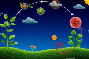 Biology Lesson on Carbon Cycle