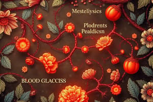 Blood Glucose Homeostasis