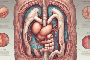 Maldigestion und Malabsorption