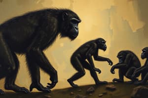 Macroevolution and Primates Evolution Quiz