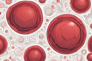 What are Red Blood Cells?