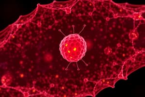 Características do Nucleoplasma e Cromatina