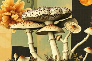 General Characteristics and Reproduction of Fungi