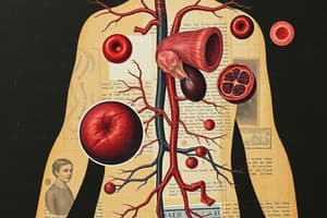 Human Circulatory System Quiz