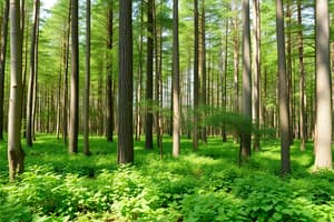 Forestry Principles and Practices