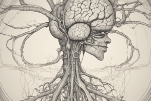 Nervous System: Cellular Structure and Function