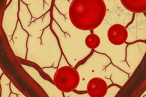 Biology Chapter: Blood Circulation and Osmosis