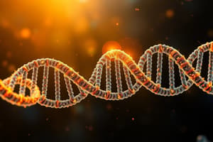 Biology Chapter on Nucleosides and DNA Structure