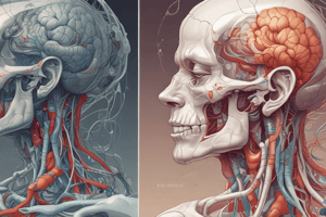 Human Body Organization and Function