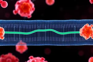 Biology Plasma Membrane Transport Quiz