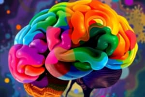 Cognitive Neuroscience Methods Quiz