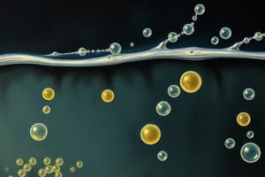 Phospholipids and Glycerophospholipids Overview