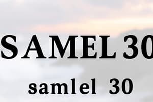 1 Samuel 30 - Flashcard MC Questions