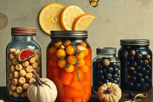 Fermentation in Food Products