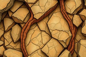 Sedimentary Rocks Overview