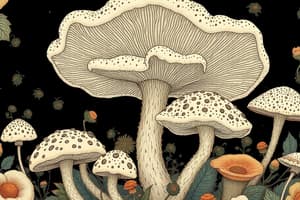 Ecological Roles and Characteristics of Fungi