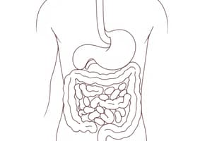 Fisiologia del Sistema Digerente: Introduzione (Fisiologia 55)