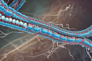 Chromosome Structure Sequence