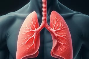 Asthma & COPD Medications