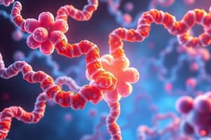 Protein Synthesis and Translocation