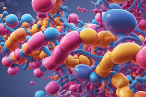 Structural Features of Beta-Strands in Proteins