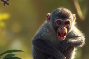 Monkey Characteristics and Behaviors