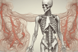 Anatomy of the Retroperitoneal Space