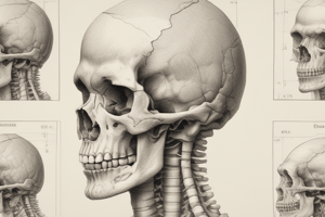 Bone Tumors and Cartilage Formation