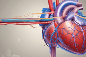 Heart Sounds Production and Blood Pressure Basics