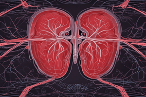 Cardiovascular Part 2: CO, HR, SV, Blood Distribution & BP