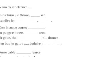 French Vocabulary and Usage