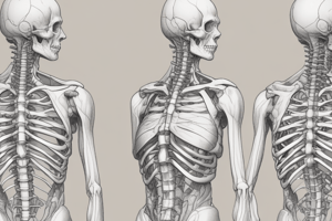 Anatomy of the Scapula and Humerus