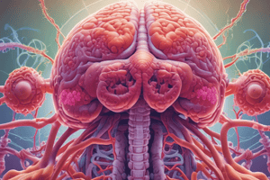 Bacterial Diseases of the Upper Respiratory System