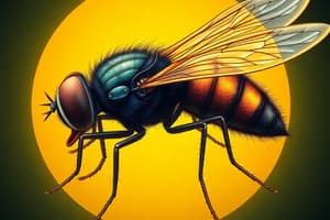 Forensic Entomology: Fly Life Cycle