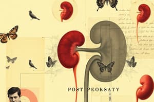 Assessment of Renal Function Quiz