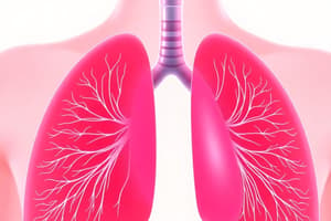 Respiratory System Functions and Lung Capacities