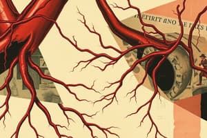 Blood Vessels and Peripheral Vascular System