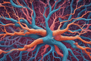 Hypoxia-induced Angiogenesis in Neural Cells Quiz