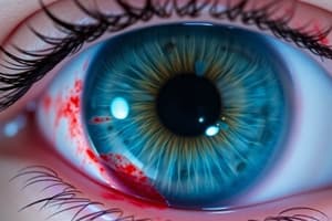 Keratitis by Injury: Corneal Abrasions