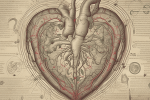 Differential Diagnoses of Heart and Small Intestine in Traditional Chinese Medicine