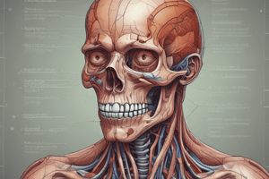 Introduction, Planes, Cavities