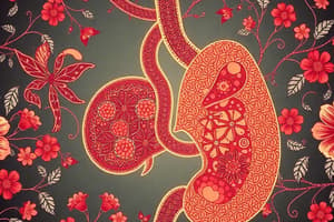 Carcinoma del Pancreas: Introduzione e Epidemiologia