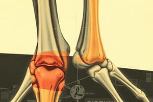 Introduction to Joints and Classification